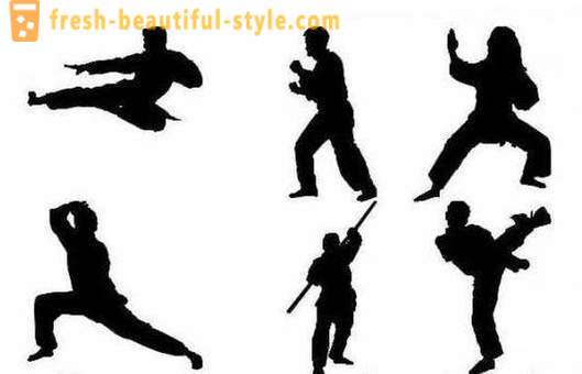 Japanski vrste borilačkih vještina: opis, karakteristike i zanimljivosti