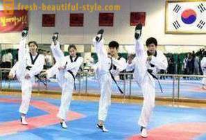 Što je taekwondo? Opis i pravila borilačke vještine