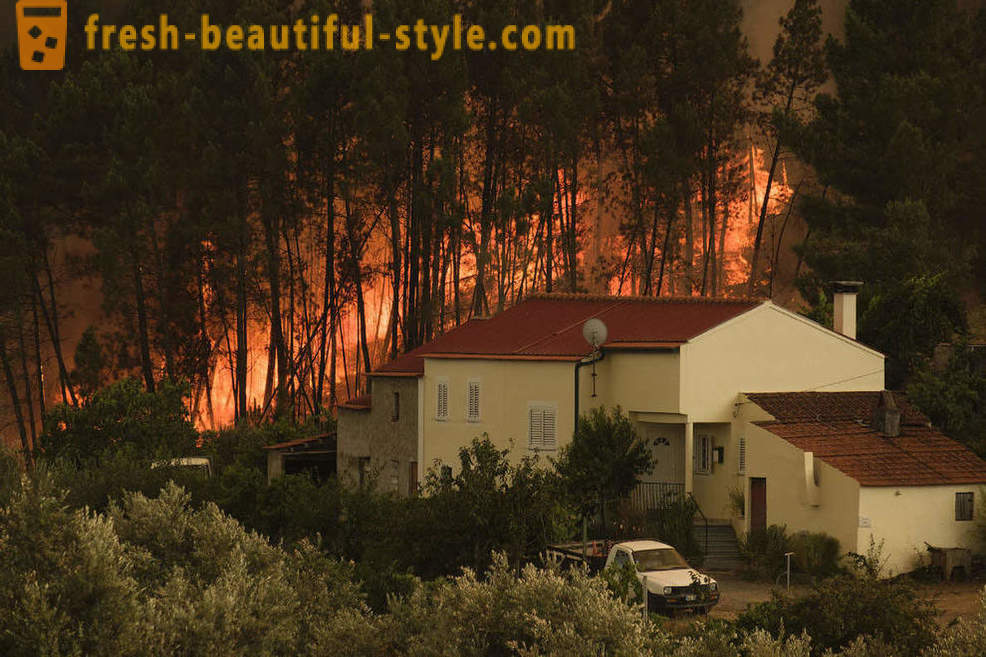Kako ugasiti požare u Portugalu