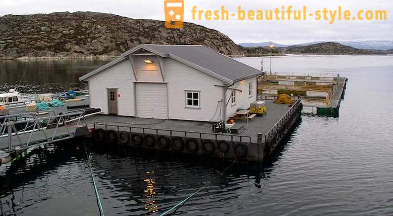 Kao što je u Norveškoj uzgajani losos i pastrva