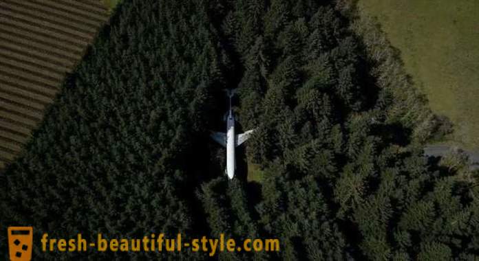 Američki, 15 godina života u avionu usred šume