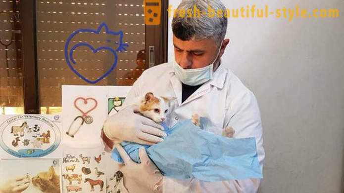 Čovjek je ostao u ratom razorenoj Aleppo da se brine o napuštenim životinjama