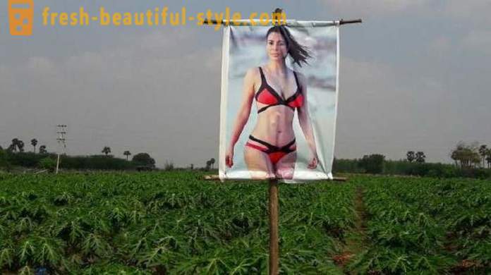 Plakat s porno zvijezdom za zaštitu bilja od zla oka
