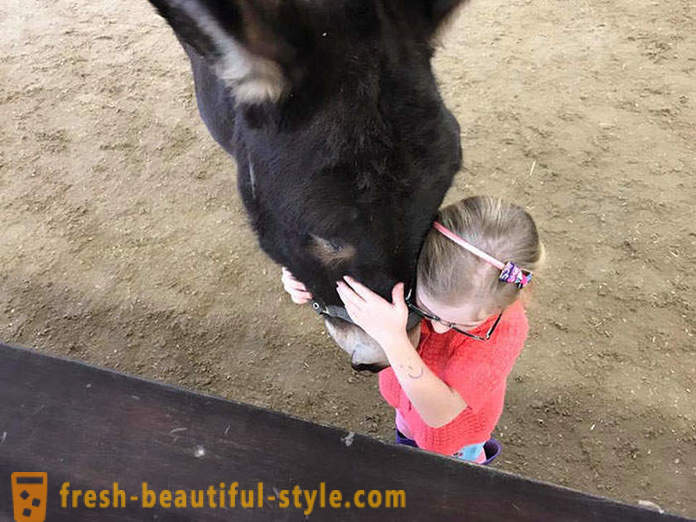 Životinja terapija: nijema djevojka počne govoriti kroz magarca