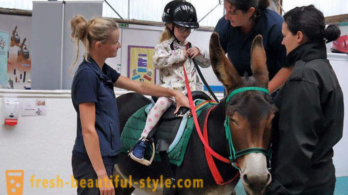 Životinja terapija: nijema djevojka počne govoriti kroz magarca