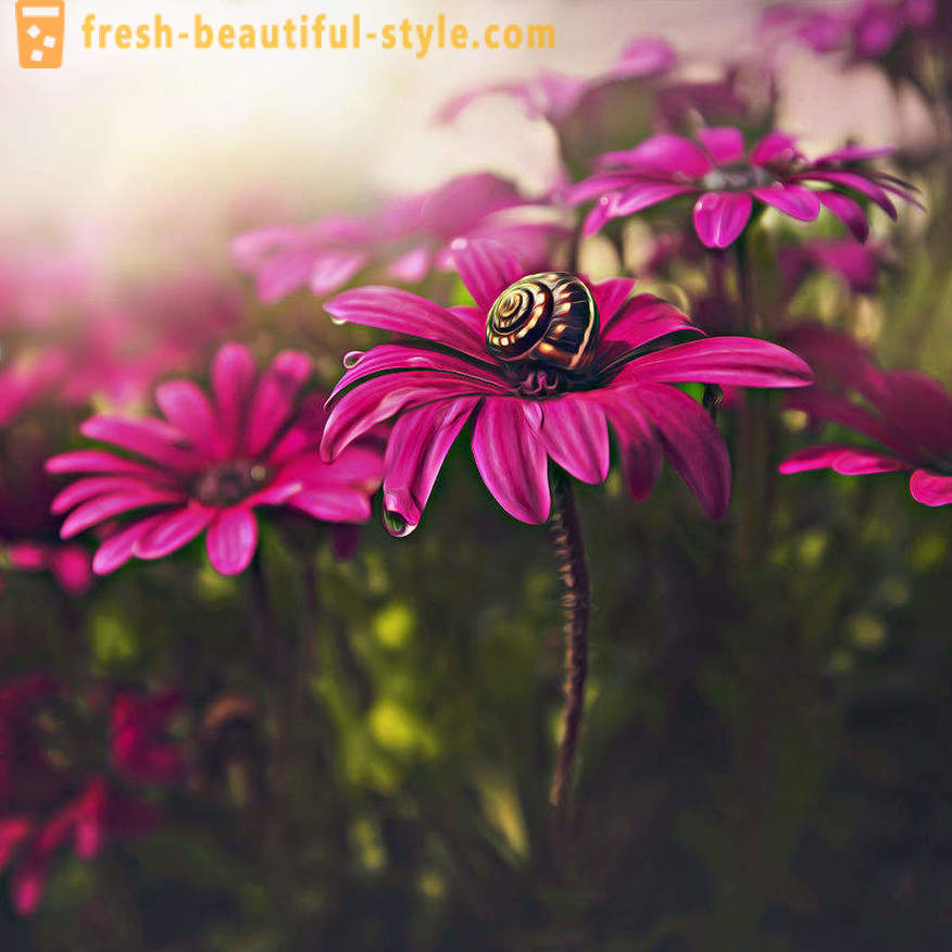 Ljepota cvijeća u makro fotografiji. Prekrasne slike cvijeća.