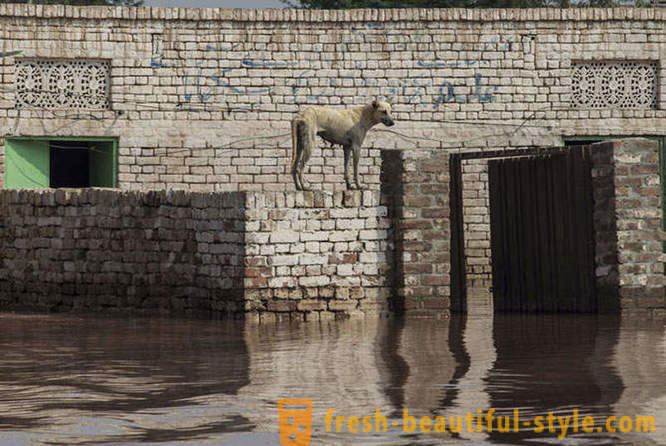 Povijesni poplave u Indiji i Pakistanu