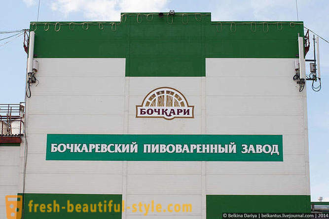 Kako napraviti pivo u Altai Territory