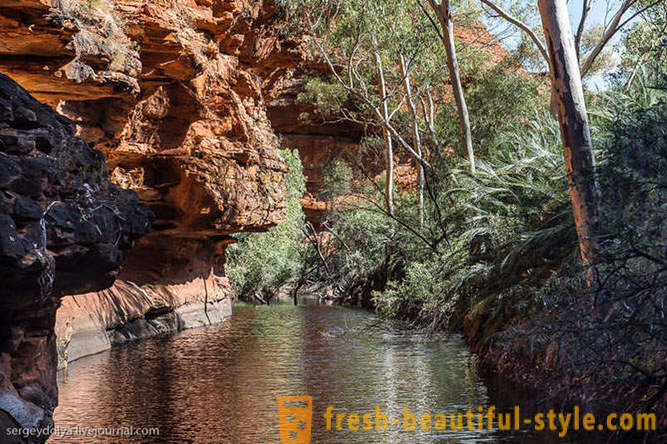 Šetnja kroz Kings Canyon u Australiji