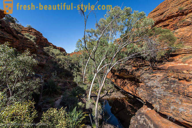 Šetnja kroz Kings Canyon u Australiji