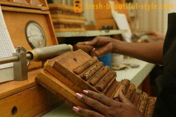 Proces stvaranja najboljih kubanskih cigara