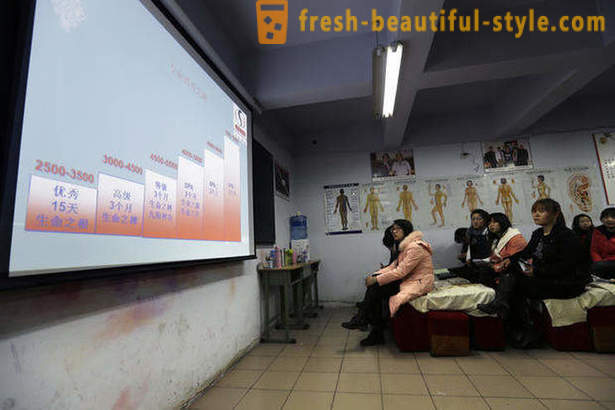 Kako su tečajevi masaža u Kini