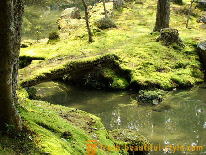 Moss vrt u Japanu