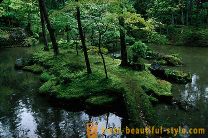Moss vrt u Japanu