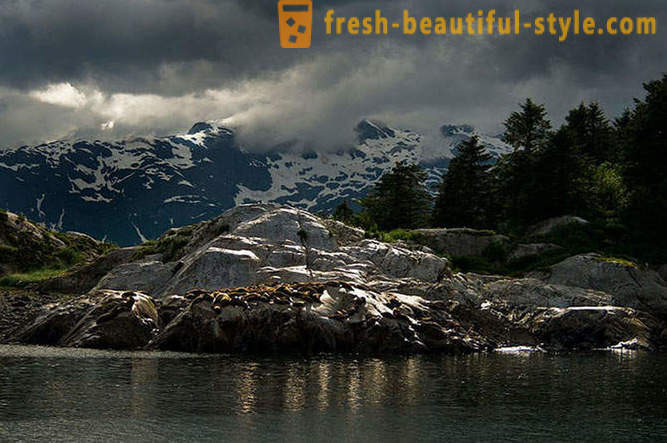Nacionalni park Glacier Bay na Aljasci