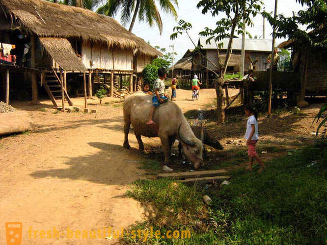 GeoFresher - Kako živjeti u Laosu