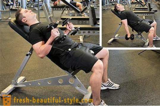 Vježba biceps. Program trening za biceps