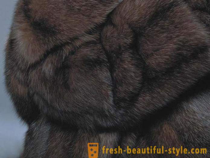 Kako razlikovati krzna iz sable fur kune?