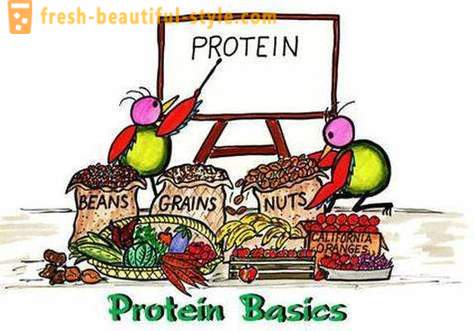 Što su proteini? Tko i kako da se protein