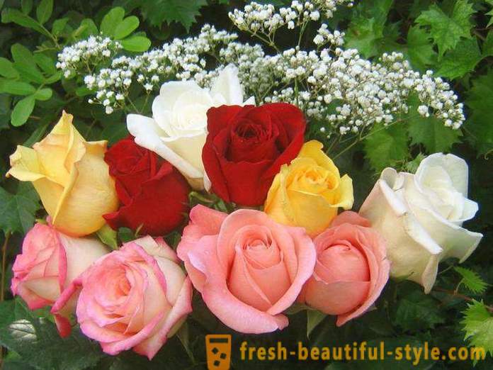 Buket prekrasnih ruža u poklon