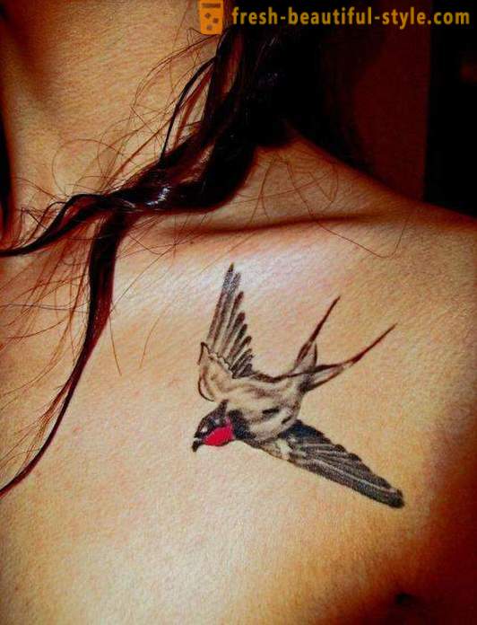 Tattoo „lasta na vratu” - tajna idealnu sliku