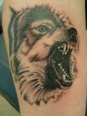 Značenje tetovaža „vuk”: opis, nijanse koje primjere