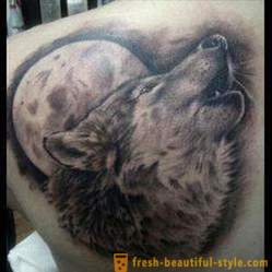 Značenje tetovaža „vuk”: opis, nijanse koje primjere