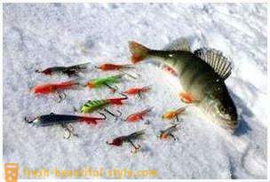 Ribolov na rockera u zimskim mjesecima. ribolov tehnika na gredi