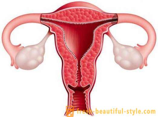 Kako povećati endometrija