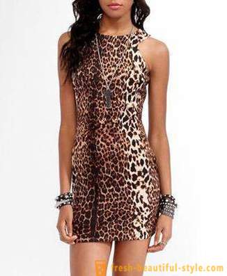 Leopard haljina lijepa grabežljivac