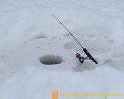 Uzbudljiva ribolov šarana zimi